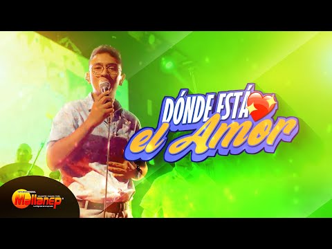 Dónde está el amor - Internacional Mallanep