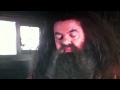 Harry Potter Scene Ron Pukes A Slug