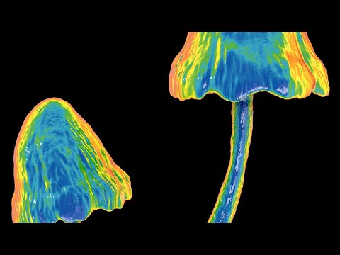 Divergence Mentale - Ovnivor10