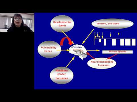 Huda Akil - The Neurobiology of Temperament and Mood