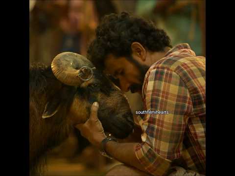 😰 Boy Happiness ☺️#shorts#trending#viral