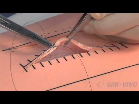 SIM SUTURE - 7. Running Subcuticular Suture