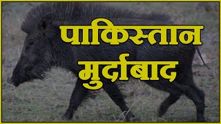 पहलगाम ll दांव हमारा बाकी है ll Satya Yadav ll Hindustan vs Pakistan