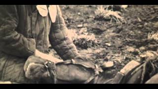 Трейлер: Василий и Василиса