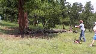 preview picture of video 'Disc Golf - Bailey, CO Holes 1-5'