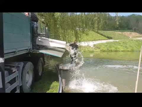 ŠRD GORICA / Poribljavanje 4/2018