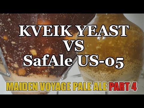 US-05 VS KVEIK - Brewzilla 65L Maiden Voyage Pale Ale - Part 4