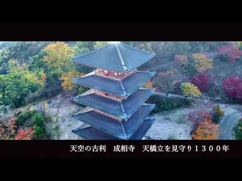 成相寺の紅葉とライトアップ