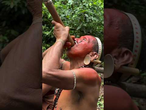 How do tribals hunt animals using wooden pipes? #shorts