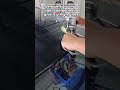 From sun-damaged to showroom shine!