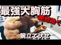 【最強大胸筋】絶対に効く腕立て伏せ!!!!