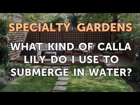 How to Extract Fragrances From Plants