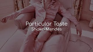 Particular Taste - Shawn Mendes (lyrics)