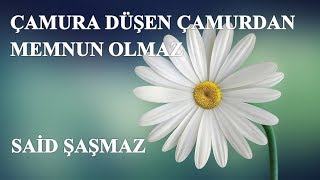 Said Şaşmaz - Çamura Düşen Çamurdan Memnun Olmaz