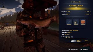 Diamond's Peak Fishing Challenge Gold 1 - Catch A Gold Rank Catfish - COTW : The Angler