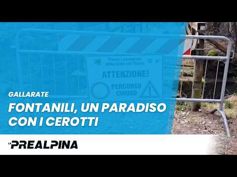 Fontanili, un paradiso con i cerotti