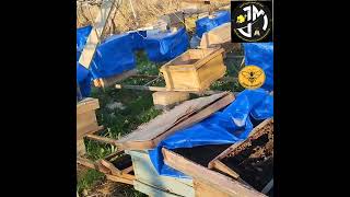 موسم الفيض والربيع والايام المهمة في نهاية شهر اذار 