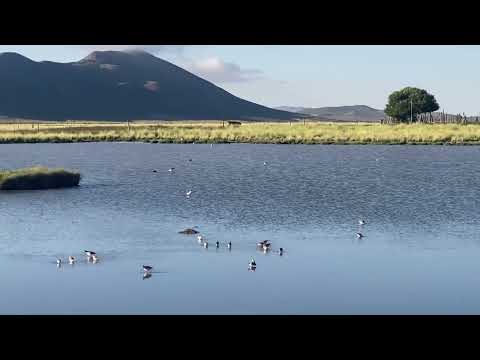 Abra Pampa, Jujuy, Argentina, 15 Febr 2026