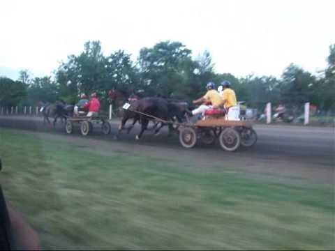 Petrovdanska trka dvopreg Srbobran.net