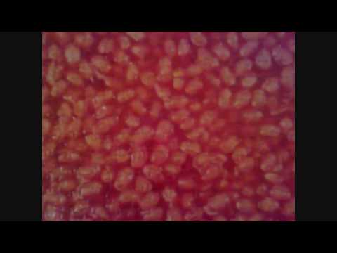 download lagu mp3 mp4 Baked Bean Puzzle, download lagu Baked Bean Puzzle gratis, unduh video klip Baked Bean Puzzle
