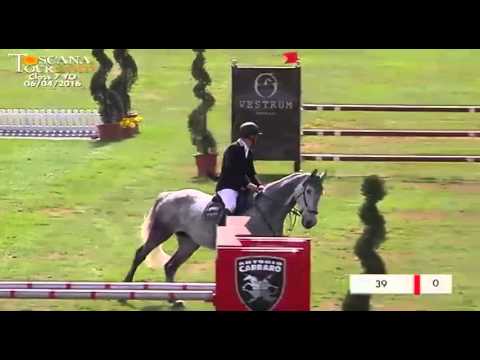 CAYADO x LORDANO 2009 holsteiner mare
