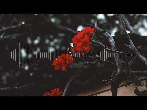 Paro (Zouk Remix) 2023