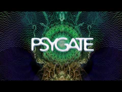 PSYGATE / CAPTAIN HOOK / AZAX / Z-CAT / GREG HILIGHT & LUDO JI / FADERS / KOPEL /