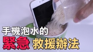 趣味生活-iPhone手機泡水的緊急救援