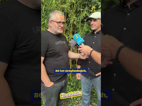 Honza a Vojta Nedvědovi: Po 24 letech oživí skupinu Příbuzní v klubu Doupě ✨