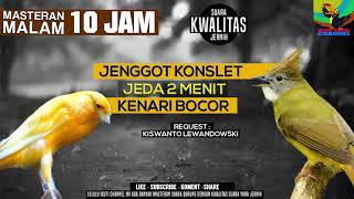 Download lagu REQUEST MASTERING CUCAK JENGGOT vs KENARI YS mp3