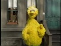 Sesame Street Big Bird Finds A Wand