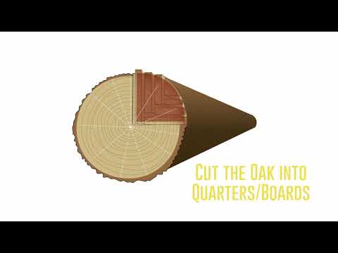 quarter sawing final