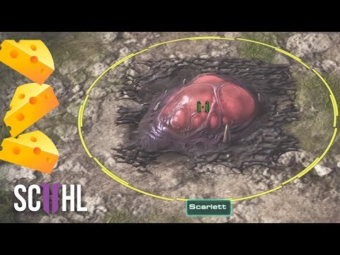 Scarlett's PROXY Hatchery?! - Starcraft 2