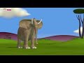 Hollywoodedge Elephant Single Shor AT043401 In Gazoon