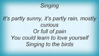 Lisa Germano - Singing To The Birds Lyrics