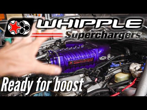 My Terminator Cobra Gets A GEN 5 WHIPPLE!