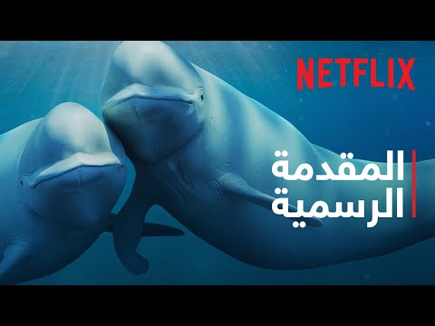 تريلر Our Oceans