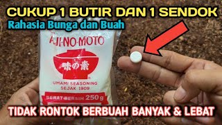 Download lagu It gives me goosebumps seeing the fruit after using this method, it bears lots of fruit and doesn... mp3