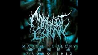 Maggot Colony - Conducted By Filth