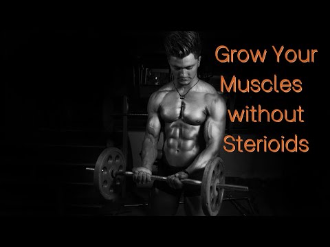 A Complete Body Fitness Formula For Elite Athletes and Bodybuilders