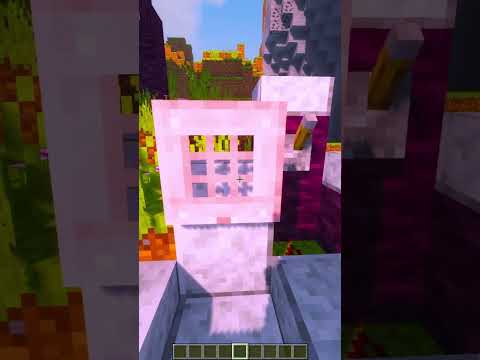 Unbelievable X-Ray Glitch Revealed in Minecraft!
