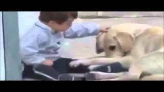 Para um cachorro todos somos iguais,por que para você uns são diferentes?