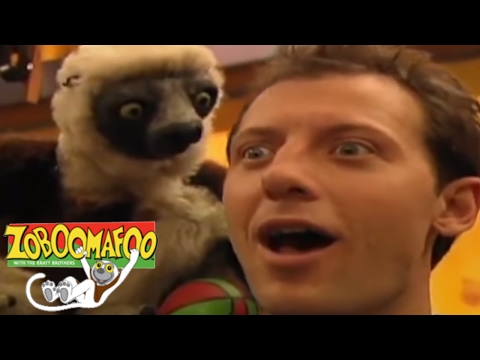 🐒 Zoboomafoo 🐒 Season | 2 HOUR Compilation | 🍌 FULL EPISODES 🍌