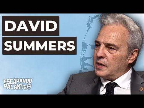 Toda la verdad sobre el niño pijo del Ford fiesta blanco y el jersey amarillo | David Summers #19