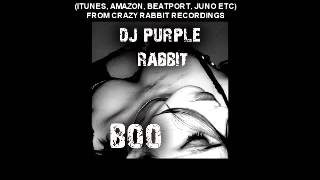 DJ Purple Rabbit - BOO - Cool Breakbeat out now on all good download sites !