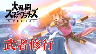 【スマブラSP】ひたすらゼルダの特訓