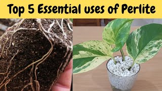 Perlite Benefits for Plants - Top 5 #Perlite