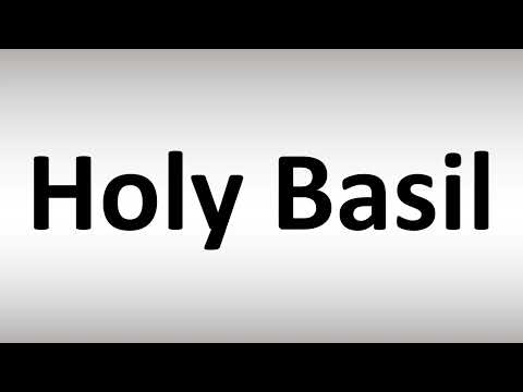 ホーリーバジルの発音方法