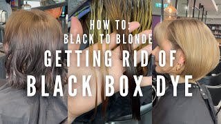 How to get rid of Black Box Dye in one day - Black to Blonde transformation formulas included