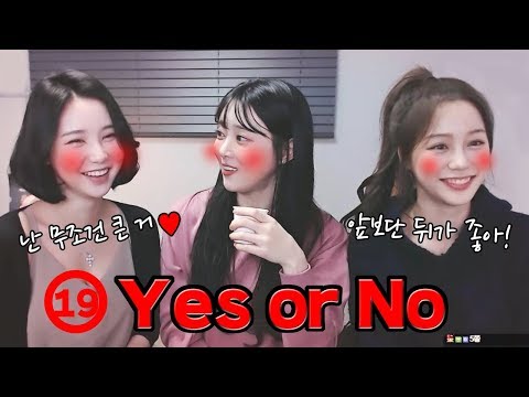 정지수준ㅋㅋ 수위가 미쳐버린 Yes or No (화정X도아X나래)